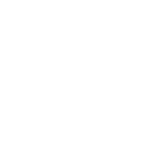 algioshy steel