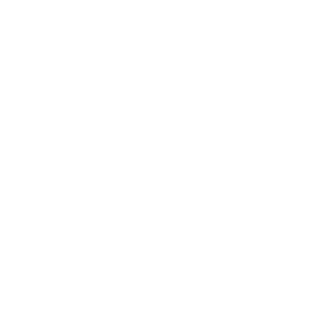 NILE PROJECTS