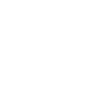 zam group